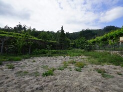 Terreno R�stico T0 - Roge, Vale de Cambra, Aveiro - Miniatura: 9/11