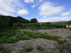 Terreno R�stico T0 - Roge, Vale de Cambra, Aveiro - Miniatura: 10/11