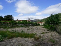 Terreno R�stico T0 - Roge, Vale de Cambra, Aveiro - Miniatura: 11/11