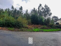 Terreno R�stico T0 - Pedroso, Vila Nova de Gaia, Porto - Miniatura: 4/8