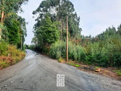 Terreno R�stico T0 - Pedroso, Vila Nova de Gaia, Porto - Miniatura: 5/8