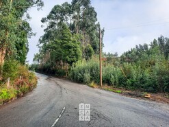 Terreno R�stico T0 - Pedroso, Vila Nova de Gaia, Porto - Miniatura: 6/8