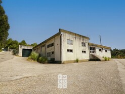 Armaz�m T0 - Vila de Cucuj�es, Oliveira de Azem�is, Aveiro - Miniatura: 1/24