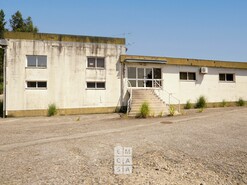 Armaz�m T0 - Vila de Cucuj�es, Oliveira de Azem�is, Aveiro - Miniatura: 2/24