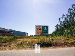 Armaz�m T0 - Loureiro, Oliveira de Azem�is, Aveiro - Miniatura: 1/20