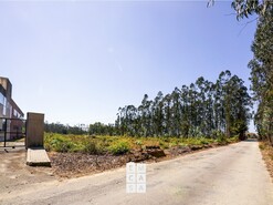 Armaz�m T0 - Loureiro, Oliveira de Azem�is, Aveiro - Miniatura: 3/20