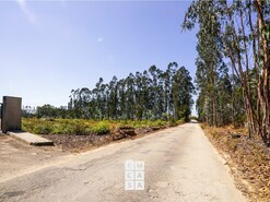 Armaz�m T0 - Loureiro, Oliveira de Azem�is, Aveiro - Miniatura: 4/20