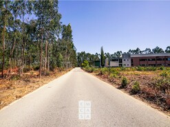 Armaz�m T0 - Loureiro, Oliveira de Azem�is, Aveiro - Miniatura: 5/20