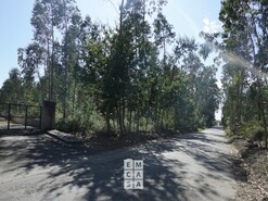 Armaz�m T0 - Loureiro, Oliveira de Azem�is, Aveiro - Miniatura: 8/20