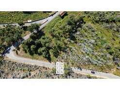 Terreno R�stico T0 - Branca, Albergaria-a-Velha, Aveiro - Miniatura: 1/9