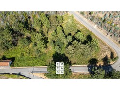 Terreno R�stico T0 - Branca, Albergaria-a-Velha, Aveiro - Miniatura: 2/9