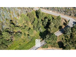 Terreno R�stico T0 - Branca, Albergaria-a-Velha, Aveiro - Miniatura: 4/9