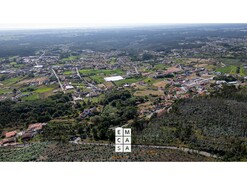 Terreno R�stico T0 - Branca, Albergaria-a-Velha, Aveiro - Miniatura: 5/9