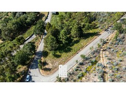 Terreno R�stico T0 - Branca, Albergaria-a-Velha, Aveiro - Miniatura: 6/9