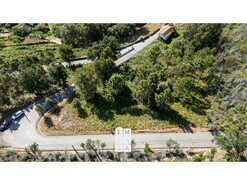 Terreno R�stico T0 - Branca, Albergaria-a-Velha, Aveiro - Miniatura: 7/9