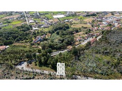 Terreno R�stico T0 - Branca, Albergaria-a-Velha, Aveiro - Miniatura: 8/9