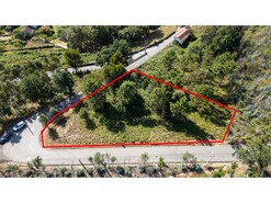 Terreno R�stico T0 - Branca, Albergaria-a-Velha, Aveiro - Miniatura: 9/9