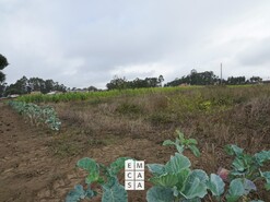 Terreno R�stico T0 - Mosteir�, Santa Maria da Feira, Aveiro - Miniatura: 1/14