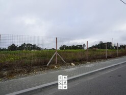 Terreno R�stico T0 - Mosteir�, Santa Maria da Feira, Aveiro - Miniatura: 2/14
