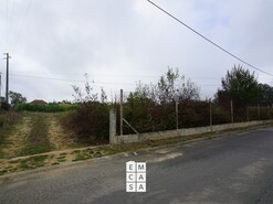 Terreno R�stico T0 - Mosteir�, Santa Maria da Feira, Aveiro - Miniatura: 3/14