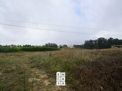 Terreno R�stico T0 - Mosteir�, Santa Maria da Feira, Aveiro - Miniatura: 4/14