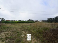 Terreno R�stico T0 - Mosteir�, Santa Maria da Feira, Aveiro - Miniatura: 5/14