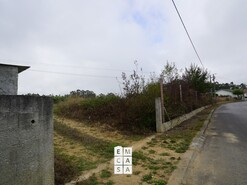 Terreno R�stico T0 - Mosteir�, Santa Maria da Feira, Aveiro - Miniatura: 6/14