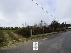 Terreno R�stico T0 - Mosteir�, Santa Maria da Feira, Aveiro - Miniatura: 7/14