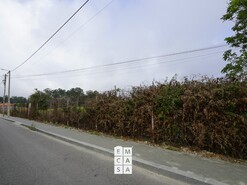 Terreno R�stico T0 - Mosteir�, Santa Maria da Feira, Aveiro - Miniatura: 9/14