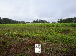 Terreno R�stico T0 - Mosteir�, Santa Maria da Feira, Aveiro - Miniatura: 10/14