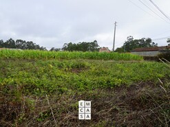 Terreno R�stico T0 - Mosteir�, Santa Maria da Feira, Aveiro - Miniatura: 11/14