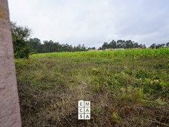 Terreno R�stico T0 - Mosteir�, Santa Maria da Feira, Aveiro - Miniatura: 12/14