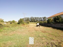 Terreno R�stico T0 - Santiago de Riba-Ul, Oliveira de Azem�is, Aveiro - Miniatura: 6/6