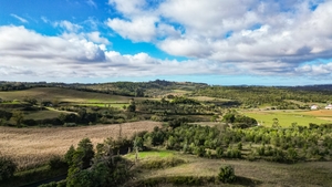 Terreno R�stico - Abrunheira, Montemor-o-Velho, Coimbra - Miniatura: 3/10