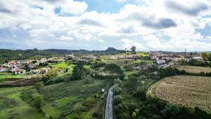 Terreno R�stico - Abrunheira, Montemor-o-Velho, Coimbra - Miniatura: 9/10