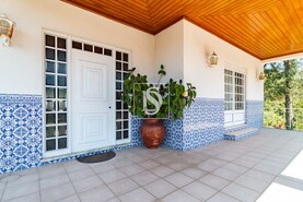 Moradia T3 - Pinheiro da Bemposta, Oliveira de Azemis, Aveiro - Miniatura: 17/22