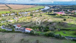 Terreno Rstico T0 - Abrunheira, Montemor-o-Velho, Coimbra - Miniatura: 1/10