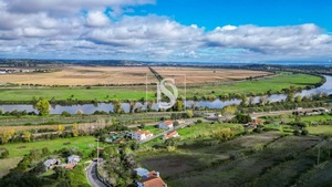 Terreno Rstico T0 - Abrunheira, Montemor-o-Velho, Coimbra - Miniatura: 4/10