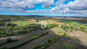 Terreno Rstico T0 - Abrunheira, Montemor-o-Velho, Coimbra - Miniatura: 6/10