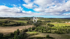 Terreno Rstico T0 - Abrunheira, Montemor-o-Velho, Coimbra - Miniatura: 7/10