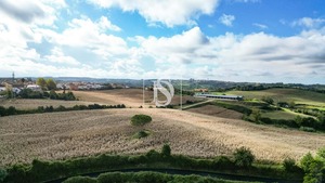 Terreno Rstico T0 - Abrunheira, Montemor-o-Velho, Coimbra - Miniatura: 8/10