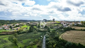 Terreno Rstico T0 - Abrunheira, Montemor-o-Velho, Coimbra - Miniatura: 9/10