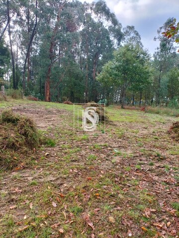 Terreno R�stico T0 - V�rzea, Barcelos, Braga - Imagem grande
