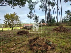 Terreno R�stico T0 - V�rzea, Barcelos, Braga - Miniatura: 1/10