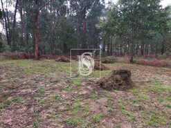 Terreno R�stico T0 - V�rzea, Barcelos, Braga - Miniatura: 2/10