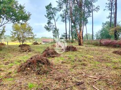 Terreno R�stico T0 - V�rzea, Barcelos, Braga - Miniatura: 9/10