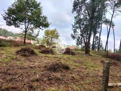 Terreno R�stico T0 - V�rzea, Barcelos, Braga - Miniatura: 10/10