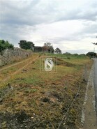 Terreno R�stico T0 - Arcozelo, Barcelos, Braga - Miniatura: 1/7