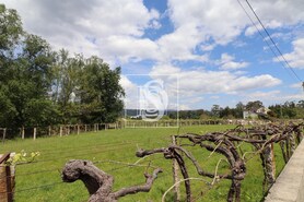 Quinta T3 - Remo�es, Melga�o, Viana do Castelo - Miniatura: 1/29