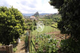 Quinta T3 - Remo�es, Melga�o, Viana do Castelo - Miniatura: 16/29